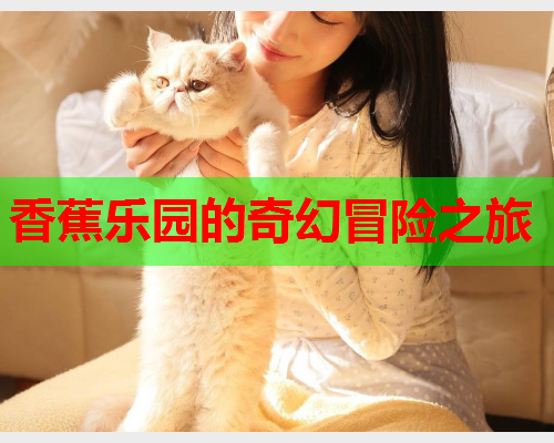 香蕉乐园的奇幻冒险之旅  第2张