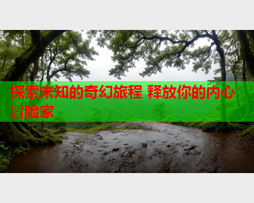 探索未知的奇幻旅程 释放你的内心冒险家