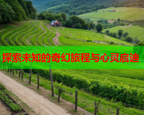 探索未知的奇幻旅程与心灵启迪  第2张