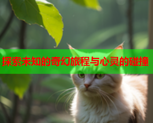 探索未知的奇幻旅程与心灵的碰撞
