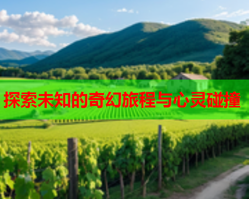 探索未知的奇幻旅程与心灵碰撞