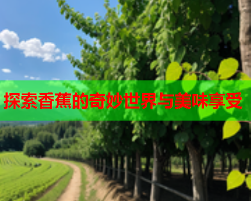探索香蕉的奇妙世界与美味享受