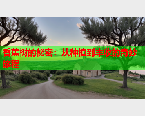 香蕉树的秘密：从种植到丰收的奇妙旅程  第2张