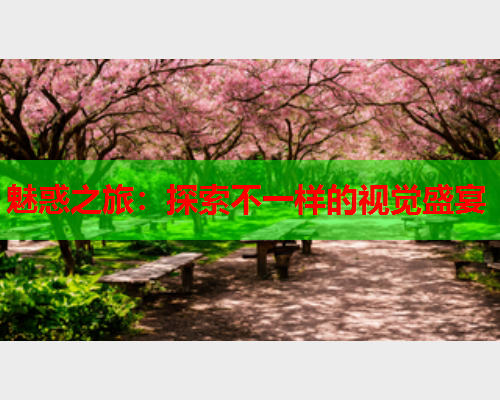 魅惑之旅：探索不一样的视觉盛宴  第2张