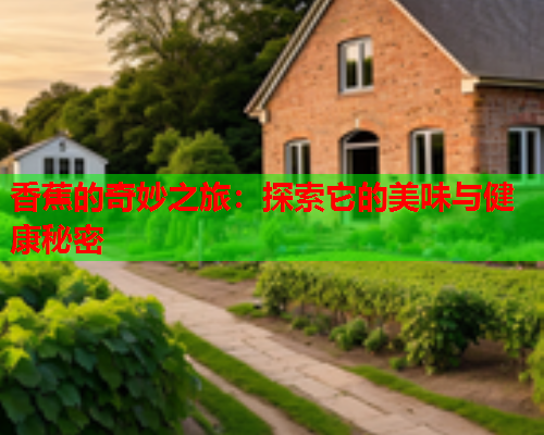 香蕉的奇妙之旅：探索它的美味与健康秘密