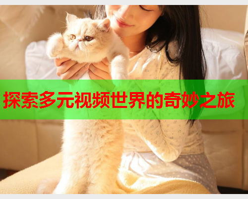 探索多元视频世界的奇妙之旅