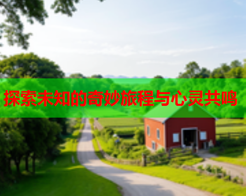 探索未知的奇妙旅程与心灵共鸣