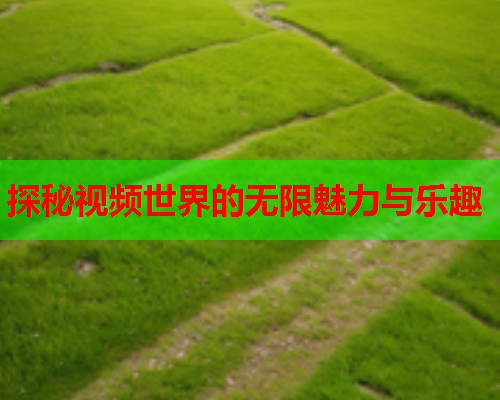 探秘视频世界的无限魅力与乐趣