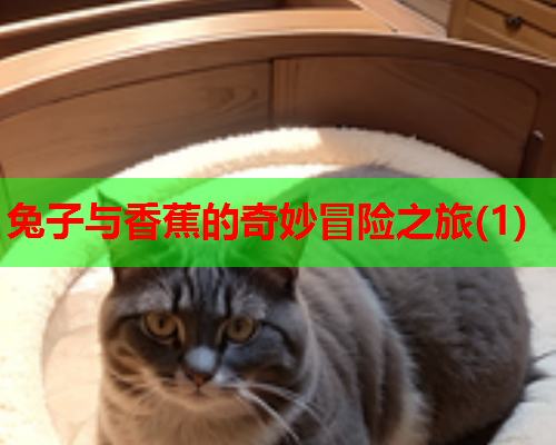 兔子与香蕉的奇妙冒险之旅(1)