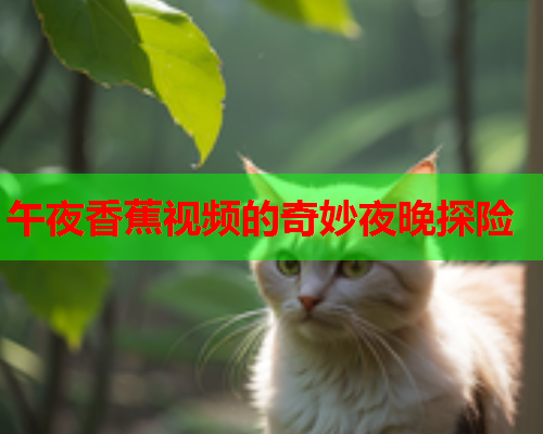 午夜香蕉视频的奇妙夜晚探险  第2张
