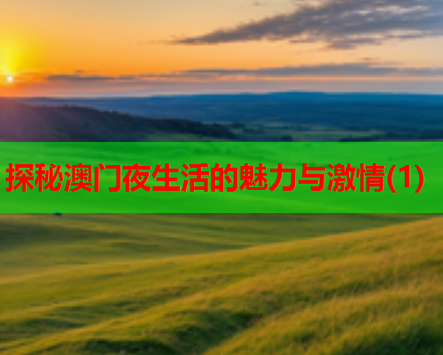 探秘澳门夜生活的魅力与激情(1)