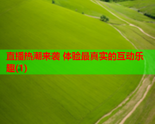 直播热潮来袭 体验最真实的互动乐趣(1)  第2张