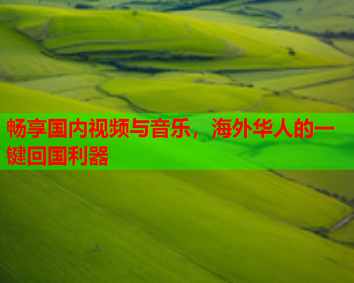 畅享国内视频与音乐，海外华人的一键回国利器
